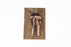 Gancho de parede traseira do boi