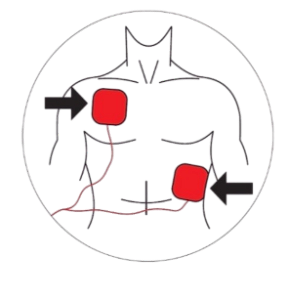 Pá Adesiva Descartável - Adulto