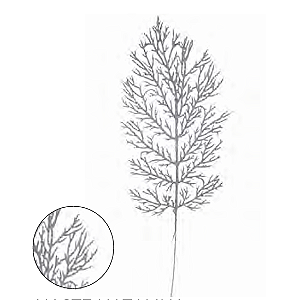 FOLHA NATAL - 40CM - PRATA