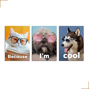 Placa Quadro Decorativo Pet Lovers Dog Estimação Em MDF 30x20cm Kit 3 Modelo 3
