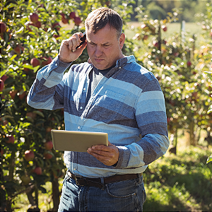 Consultoria SAP para Gestão de Safras, Custos e Rentabilidade no Agronegócio | RAIZYS