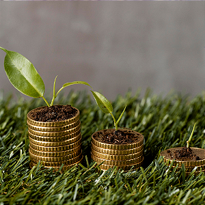 Consultoria SAP para Integração de Produção, Logística e Financeiro no Agro | RAIZYS