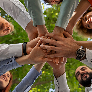 Consultoria SAP para Governança e Transparência em Cooperativas Agrícolas | RAIZYS