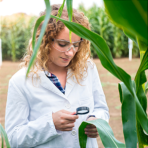 Consultoria SAP para Gestão Integrada no Setor Sucroenergético | RAIZYS