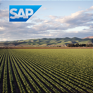 Como Controlar Custo por Safra e Talhão no Agronegócio com ERP SAP