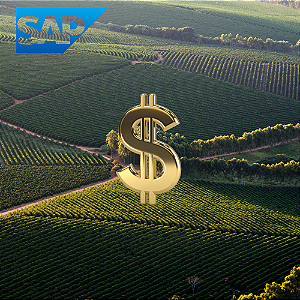 Como Melhorar Fluxo de Caixa e Capital de Giro no Agronegócio com ERP SAP