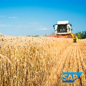 Como Controlar Estoque de Grãos entre Fazenda, Armazém e Contrato no ERP com SAP