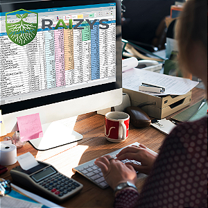 Como Organizar o Fluxo de Caixa da Empresa e Ter Previsão Financeira Mensal