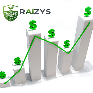 Como Calcular Margem de Lucro da Empresa e Saber se Está Tendo Resultado