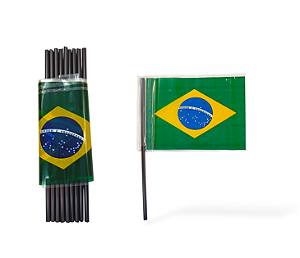 Kit Bandeira Plastica media 10 unidades
