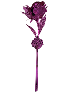 Botão Rosa Albatroz