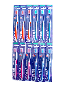 Escova Dental 12pcs Adulto Gl-0624 Attic