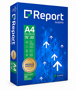 Papel Sulfite A4 Resma com 500 Folhas