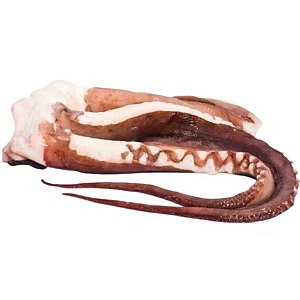 Tentáculos de Lula 1000/2000 Congelado Interatlantic / Forn. Classe D - Caixa 20 Kg