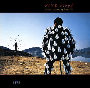 Pink Floyd - Delicate Sound Of Thunder