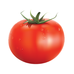 TOMATE LONGA VIDA kg