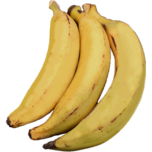 BANANA TERRA kg