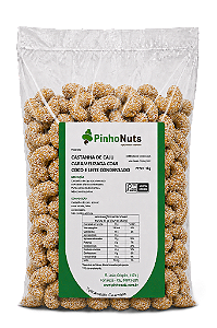 Castanha de Caju Caramelizada com Coco e Leite Condensado - Pinho Nuts