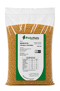 Semente de Linhaça Dourada - Pinho Nuts