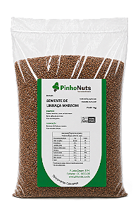 Semente de Linchaça Marrom - Pinho Nuts