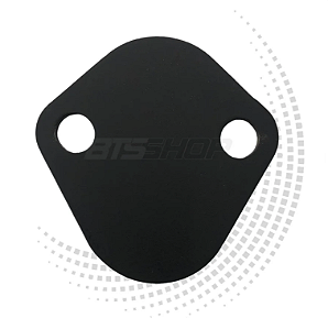 Tampão de bomba combustível BTS Motor Ford 302