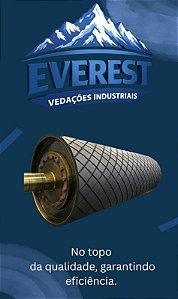 REVESTIMENTO EM BORRACHA E VULCANIZAÇAO