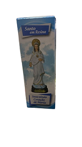 SANTO EM RESINA ICM IM50007