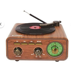 RADIO MINISTAR MS-217BR