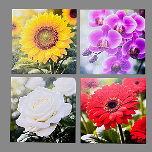 Kit 4 Quadros Decorativos Flores: Rosas, Orquídeas, Girassol e Gérberas
