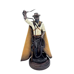 Imagem de Boiadeiro -Camasi Guimarães