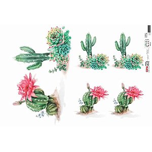 OPL - 30X45 PLANTAS CACTOS II REF 2568