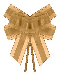 LAÇO RÁPIDO DE VOAL 22MM 5 UNID LRV005 COR 228 OURO PROGRESSO