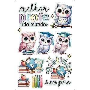 TRANSFER DE IMAGEM SMALL 9,8X15CM TIS-047 CORUJA PROFESSOR LITOARTE