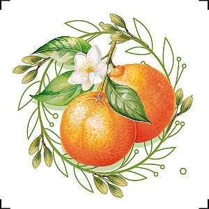 TRANSFER DE IMAGEM TYNI 8X8CM TIT-003 LARANJA LITOARTE