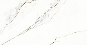 Porcelanato Silex Acetinado 63x120