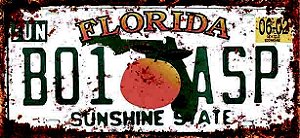 Placa Decorativa Florida 15x30