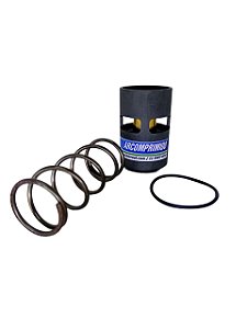 Kit Reparo Válvula Termostática 2901906700 Chicago Pneumatic