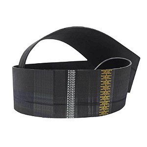 Correia Poly-V PJ787 J309 8 Canais