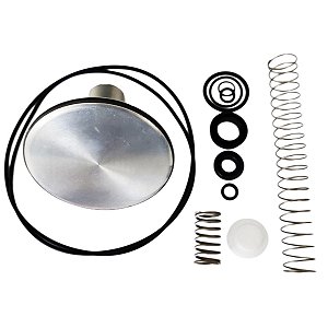 Kit de Reparo da Válvula de Admissão 1704132 Metalplan