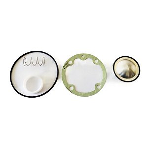Kit de Reparo da Válvula de Admissão 3060110 Metalplan