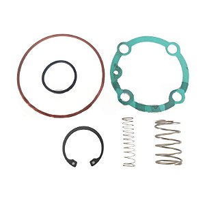 Kit de Reparo da Válvula de Admissão 3060596 Metalplan