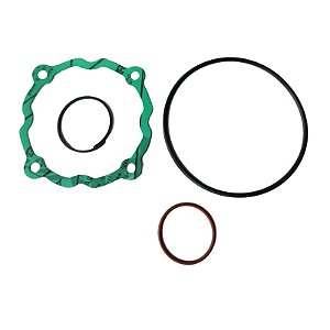 Kit de Reparo da Válvula de Admissão 3060597 Metalplan