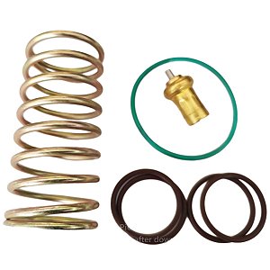 Kit Reparo Válvula Termostática 2205490592 Chicago Pneumatic