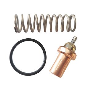 Kit Reparo da Válvula Termostática 22872857 Ingersoll Rand