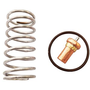 Kit de Reparo Válvula Termostática Similar 021.1048-0 Schulz