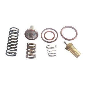 Kit Reparo Termostática e Pressão Mínima 3060113 Metalplan