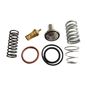 Reparo Termostática e Pressão Mínima 3060115 Metalplan