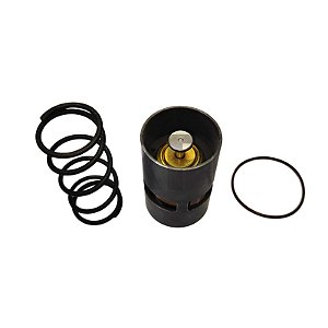 Reparo da válvula termostática 2901006800 Chicago Pneumatic