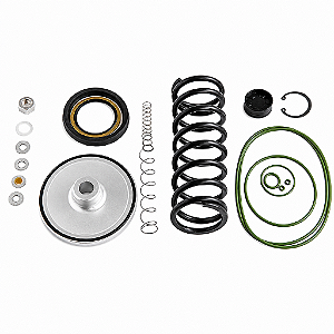 Kit reparo da válvula de admissão Similar 2901021101 Chicago