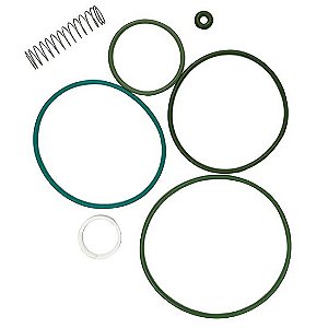 Kit Reparo Válvula Admissão RH38 Similar 148.102 para Puma